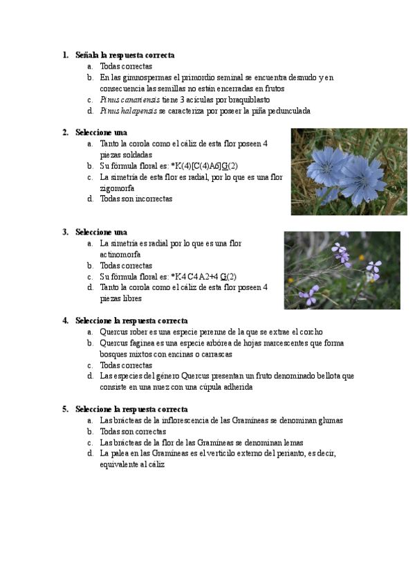 Miniatura del documento Preguntas-botanica-.pdf