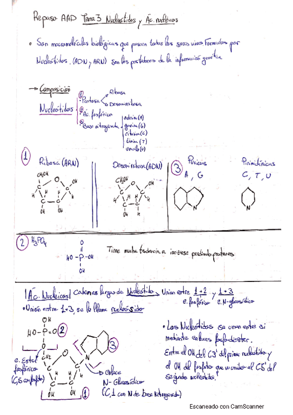 Miniatura del documento Tema-3-Ac.pdf