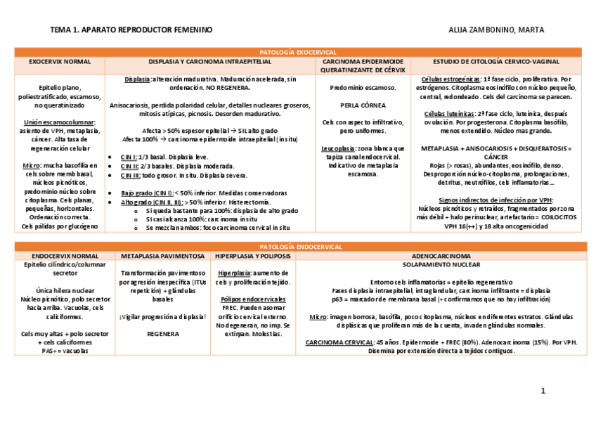 Miniatura del documento TEMA-1.pdf