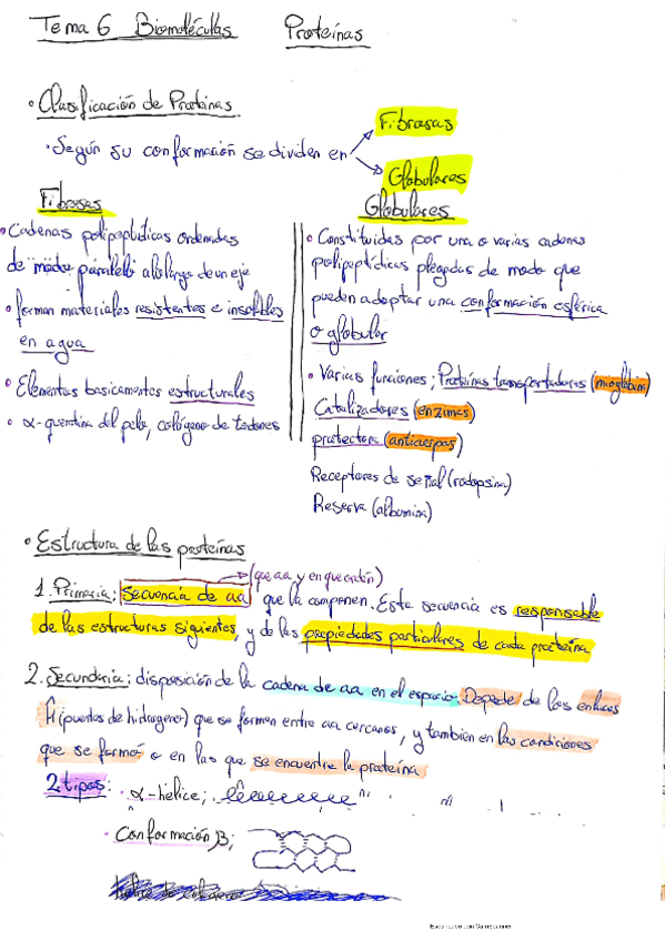 Miniatura del documento Tema-6-Proteinas-Resumen.pdf