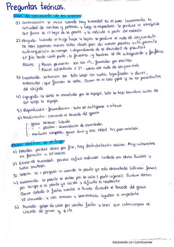 Miniatura del documento CamScanner-06-01-2021-15.pdf