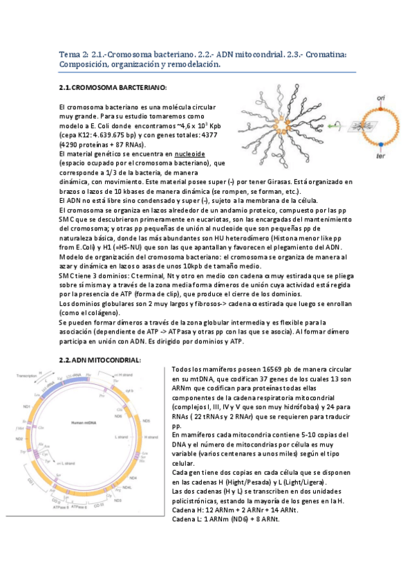 Miniatura del documento T2.pdf