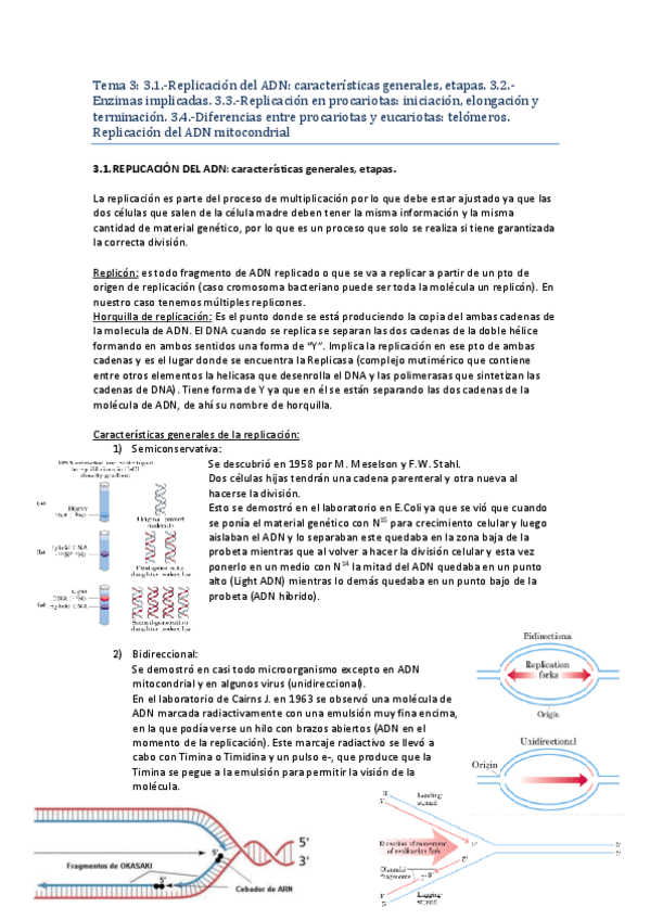 Miniatura del documento T3.pdf