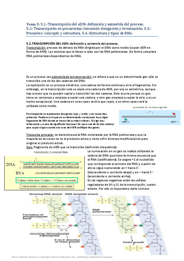 Miniatura del documento T5.pdf