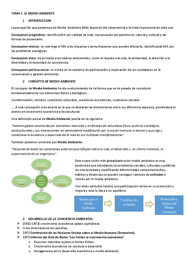 Miniatura del documento TEMAS.pdf