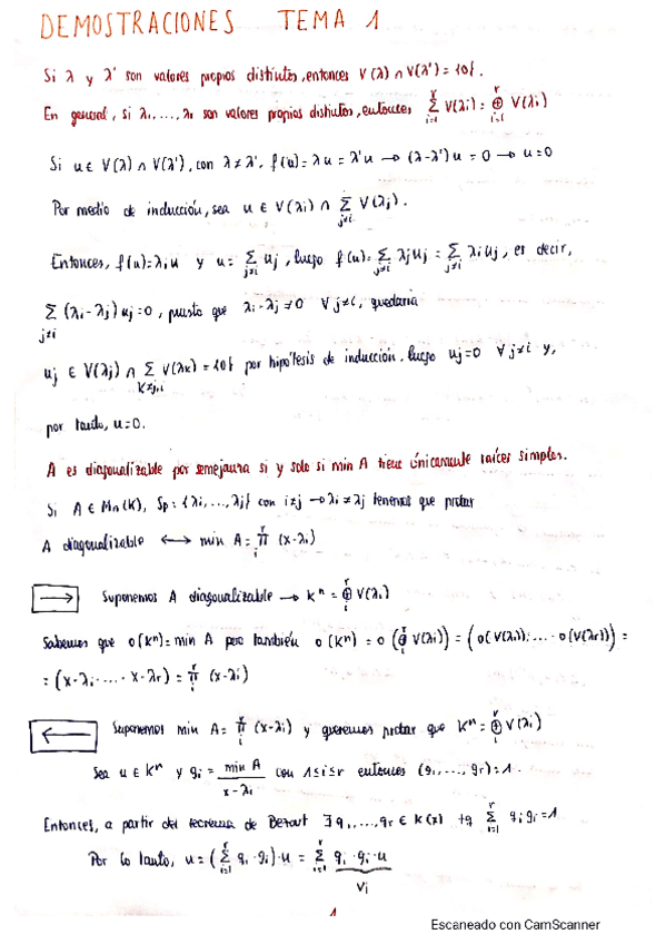 Miniatura del documento demostraciones-algebra.pdf