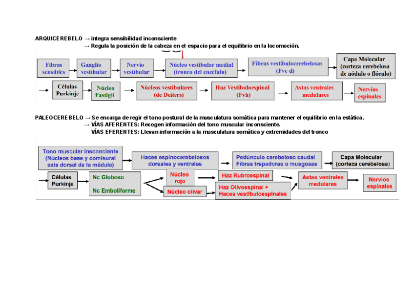 Miniatura del documento Documento-sin-titulo.pdf