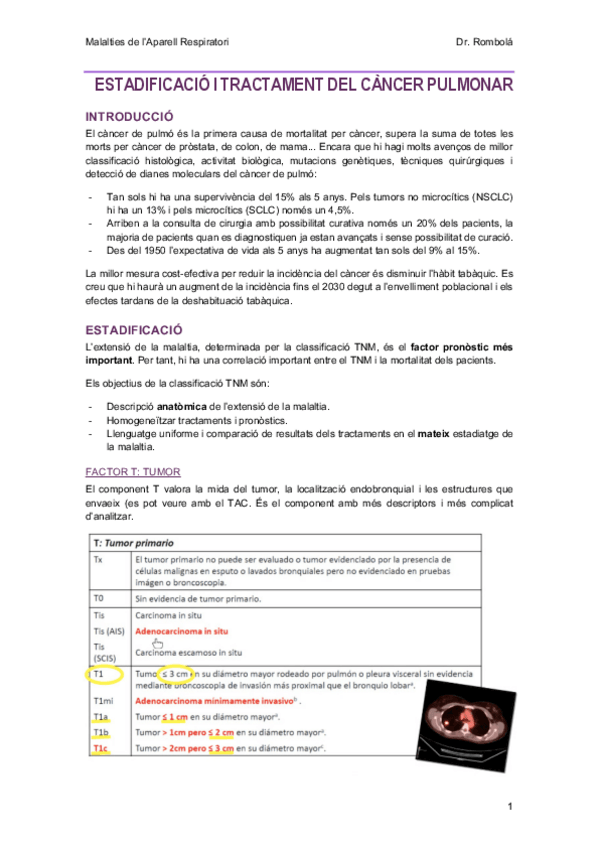 Miniatura del documento 14-EstadificacioiTractamentCP.pdf