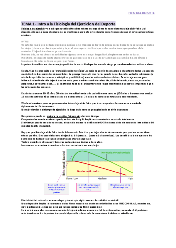 Miniatura del documento Apuntes-fisio-del-deporte-1.pdf