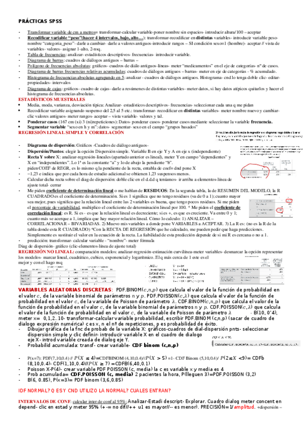 Miniatura del documento PRACTICAS-SPSS.docx