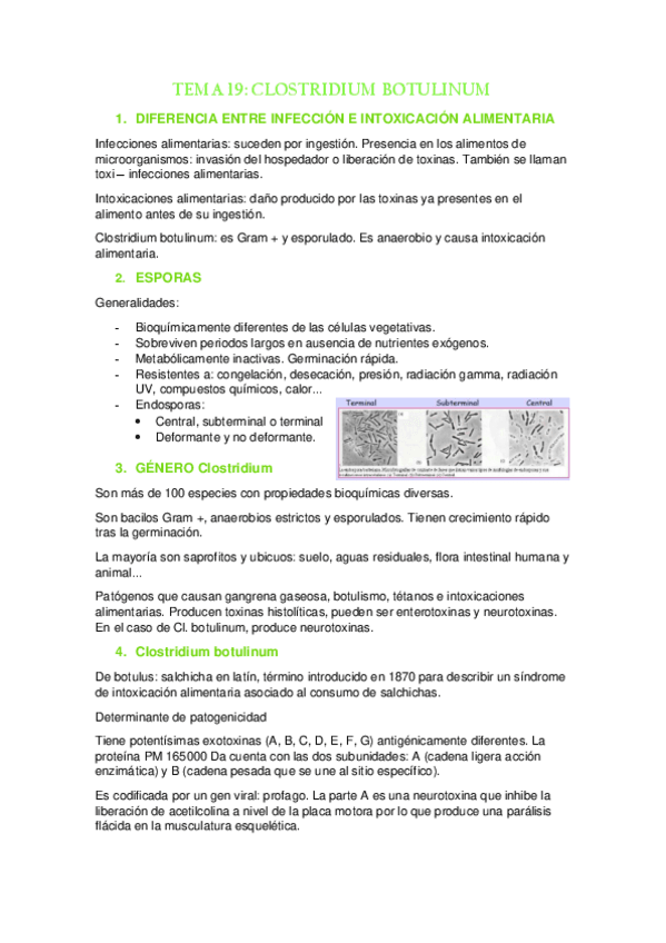 Miniatura del documento TEMA-19.pdf