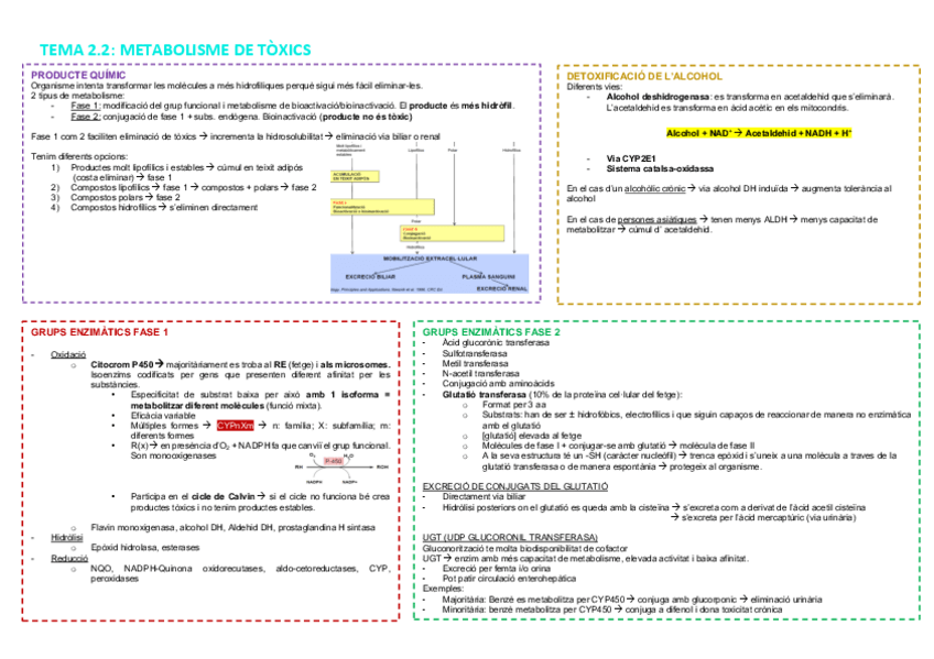 Miniatura del documento TEMA-2.pdf