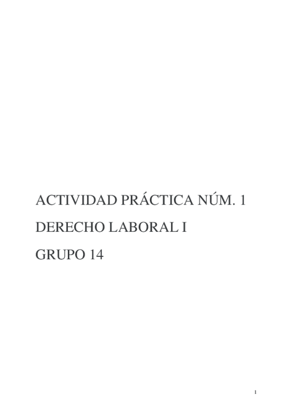 Miniatura del documento Activitat-practica-I.docx