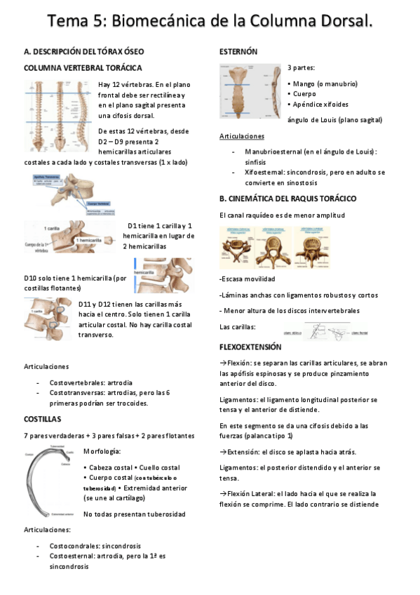 Miniatura del documento tema-5-biomec.pdf