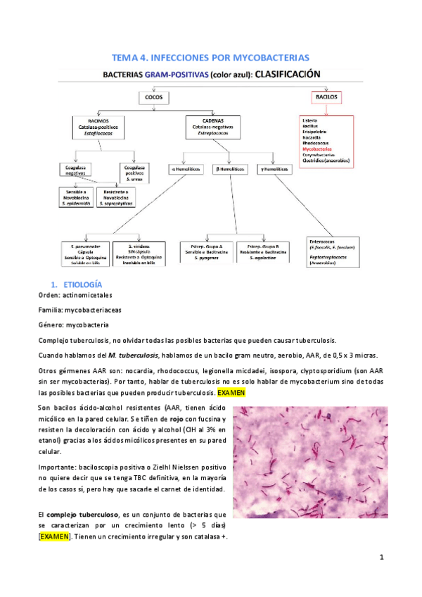 Miniatura del documento Tema-4.pdf
