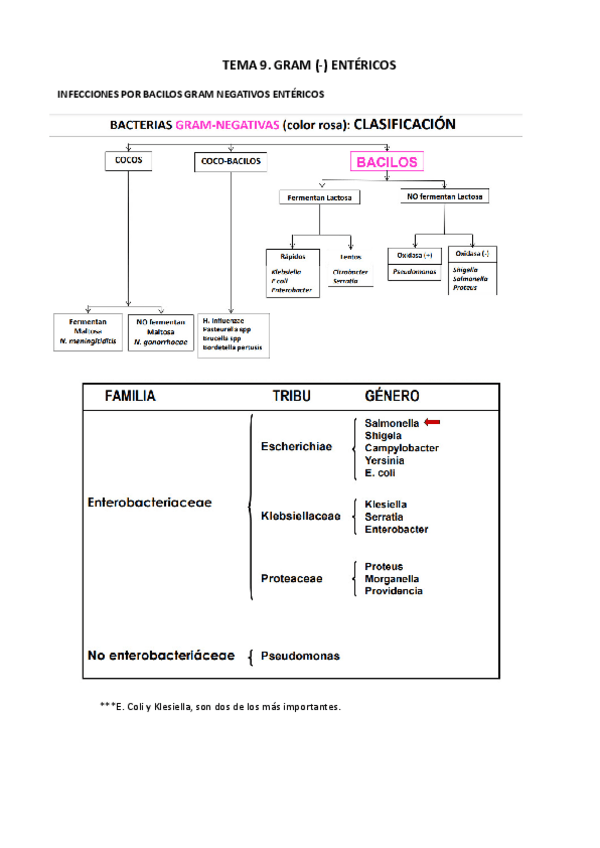 Miniatura del documento Tema-9.pdf