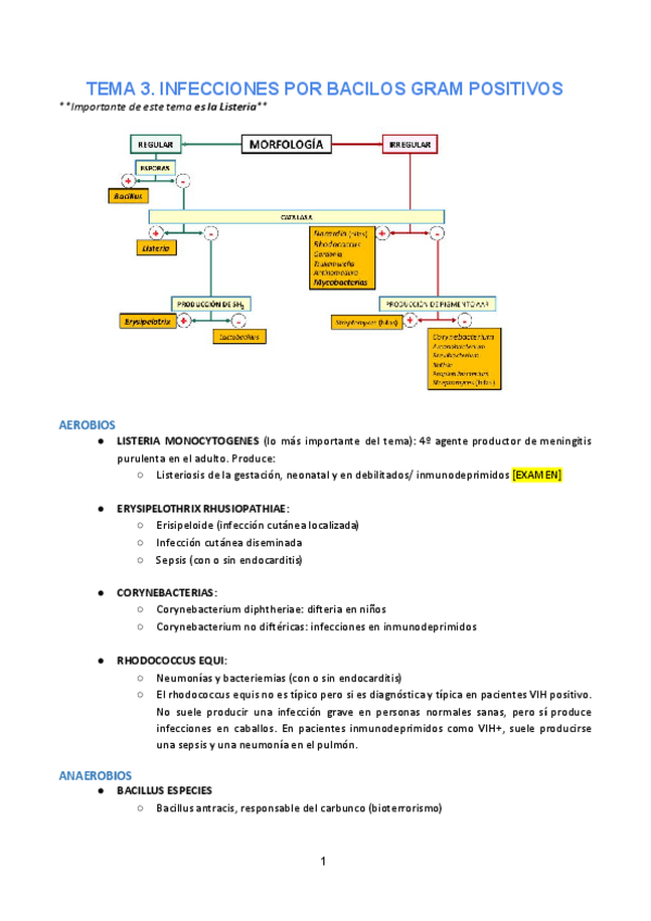 Miniatura del documento Tema-3.pdf