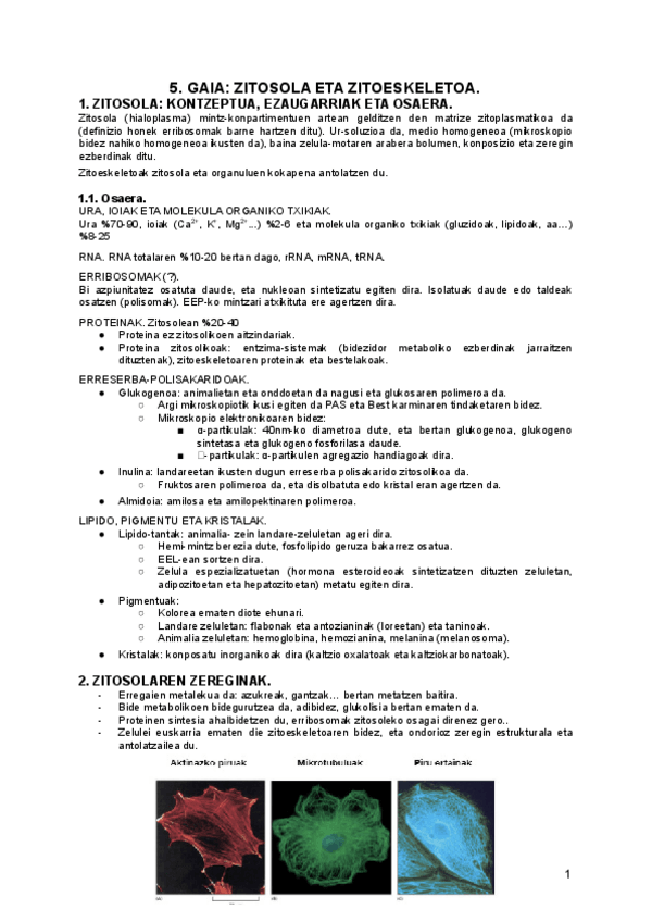 Miniatura del documento 5.pdf