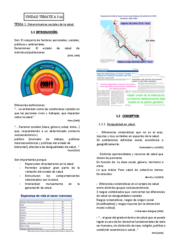 Miniatura del documento Determinantes de la Salud.pdf