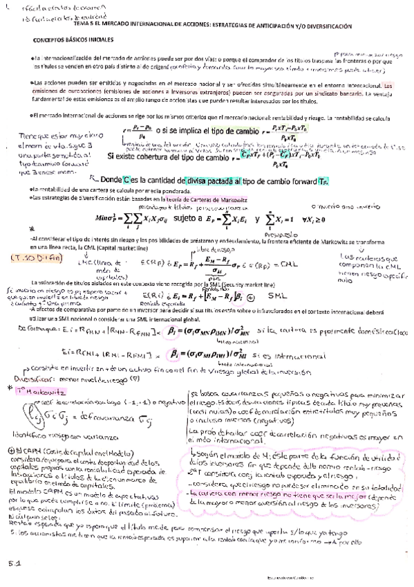 Miniatura del documento T-5-6-MDO-INTERN-ACC-Y-EXPESTR-CONTROL.pdf