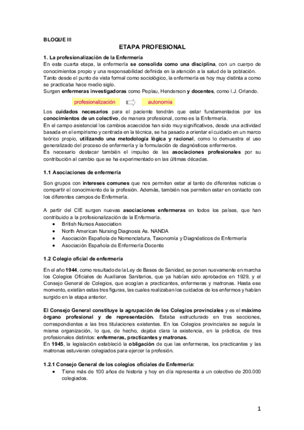 Miniatura del documento Bloque III Etapa profesional