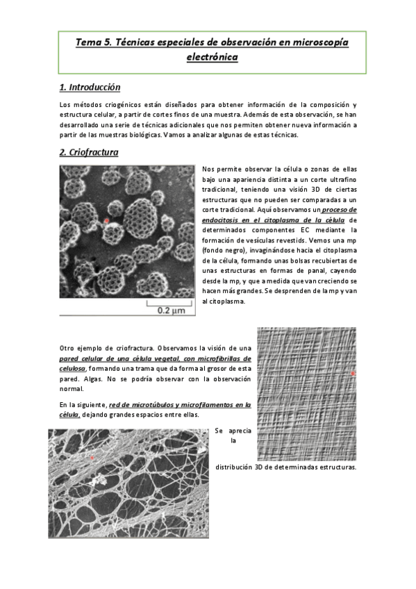 Miniatura del documento Tema-5.pdf