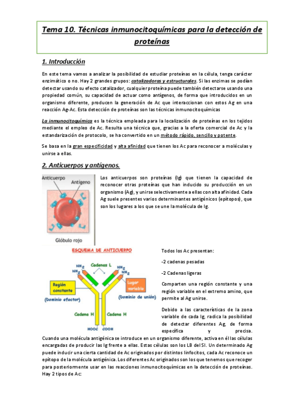 Miniatura del documento Tema-10.pdf