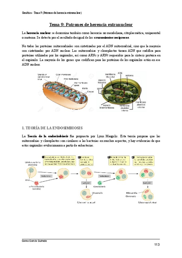 Miniatura del documento TEMA-9-PATRONES-DE-HERENCIA-EXTRANUCLEAR-GENETICA.pdf