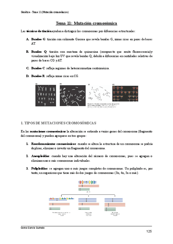 Miniatura del documento TEMA-11-MUTACION-GENICA-GENETICA.pdf