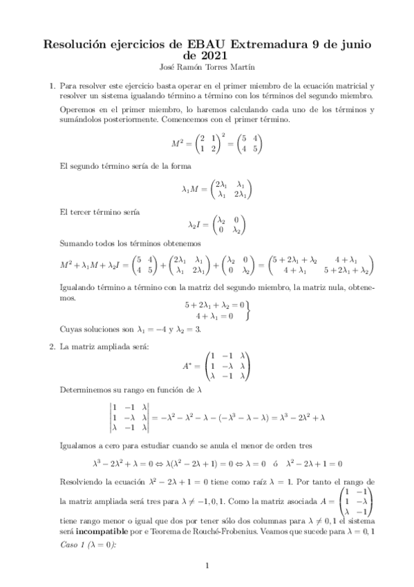 Miniatura del documento resolucionEBAU.pdf
