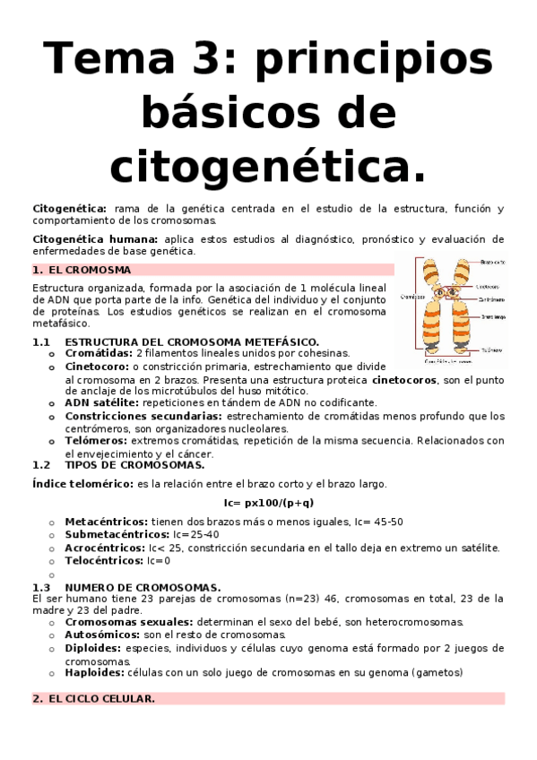 Miniatura del documento APUNTES-PRINCIPIOS-BASICOS-CITOGENETICA.docx