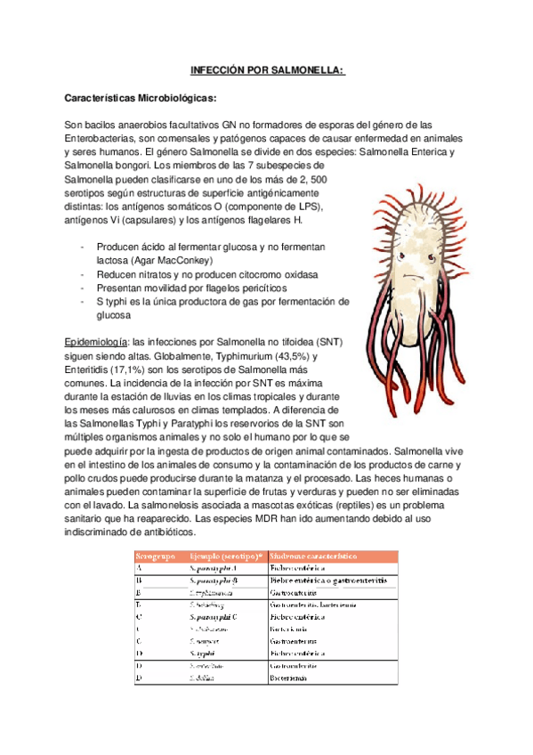 Miniatura del documento INFECCION-POR-SALMONELLA.docx