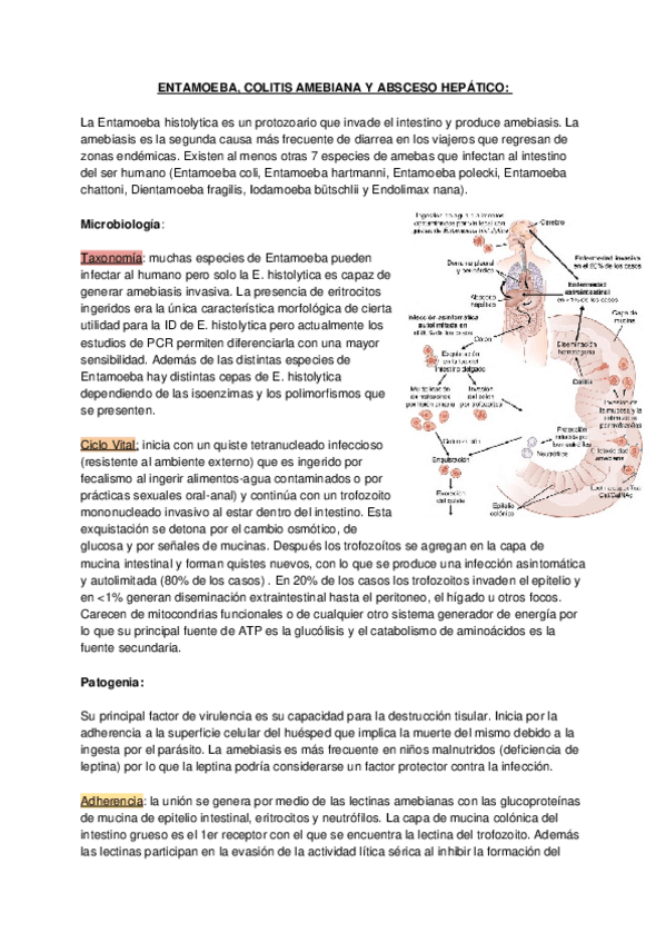 Miniatura del documento ENTAMOEBA-COLITIS-AMEBIANA-Y-ABSCESO-HEPATICO.docx