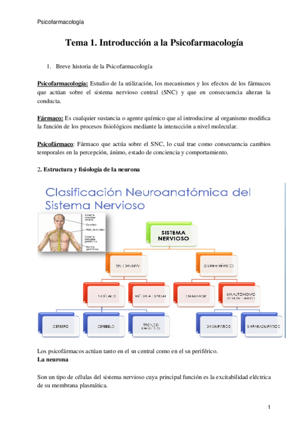 Miniatura del documento TEMA-1.docx