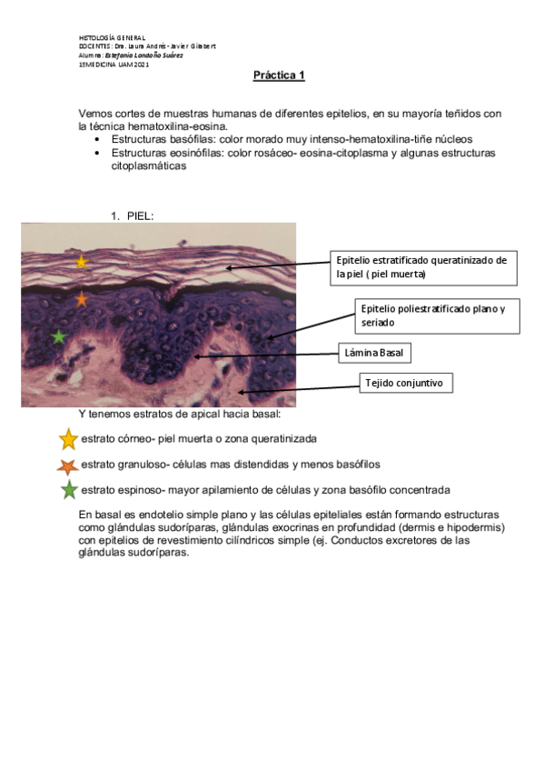 Miniatura del documento HG-Practicas2021.pdf