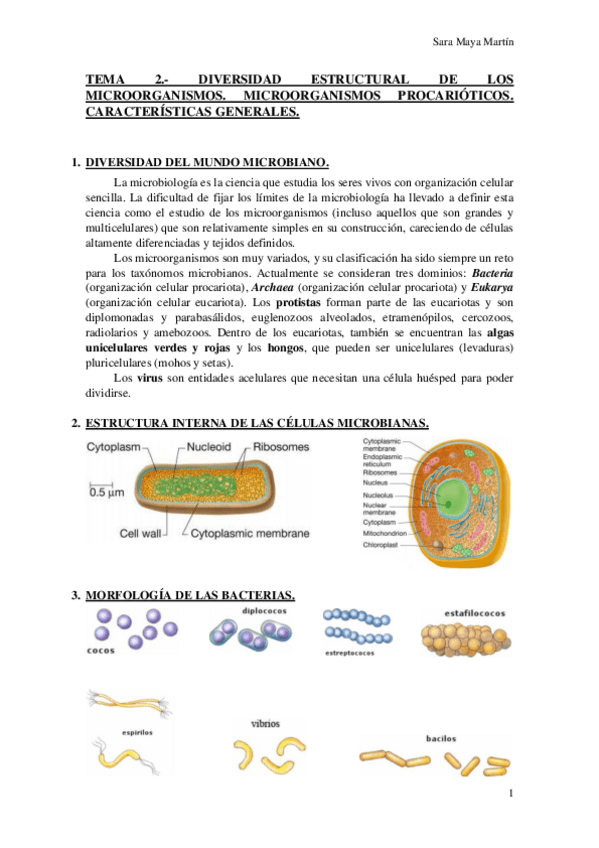 Miniatura del documento TEMA 2.pdf