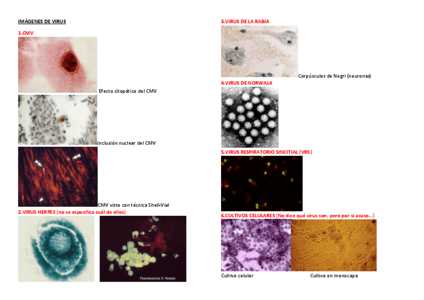 Miniatura del documento 3.pdf