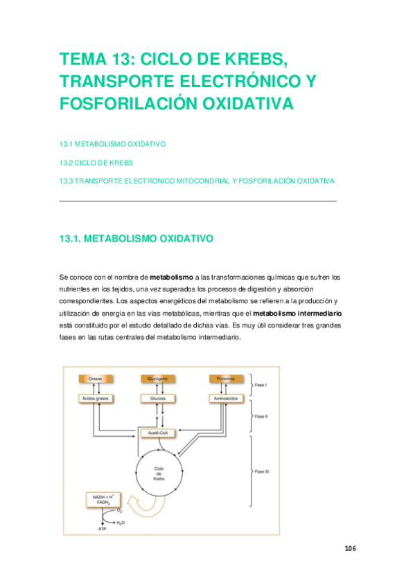 Miniatura del documento TEMA-13.pdf