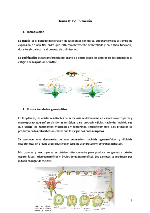 Miniatura del documento Tema-8-FV.pdf