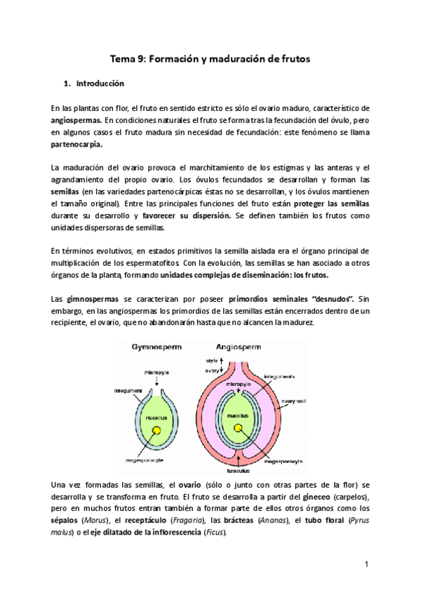 Miniatura del documento Tema-9-FV.pdf