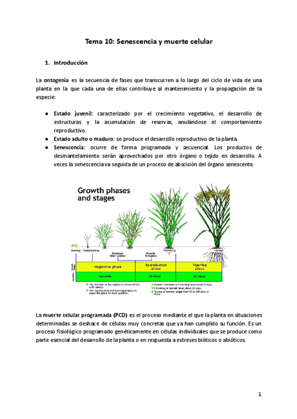 Miniatura del documento Tema-10-FV.pdf
