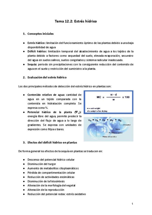 Miniatura del documento Tema-12.pdf