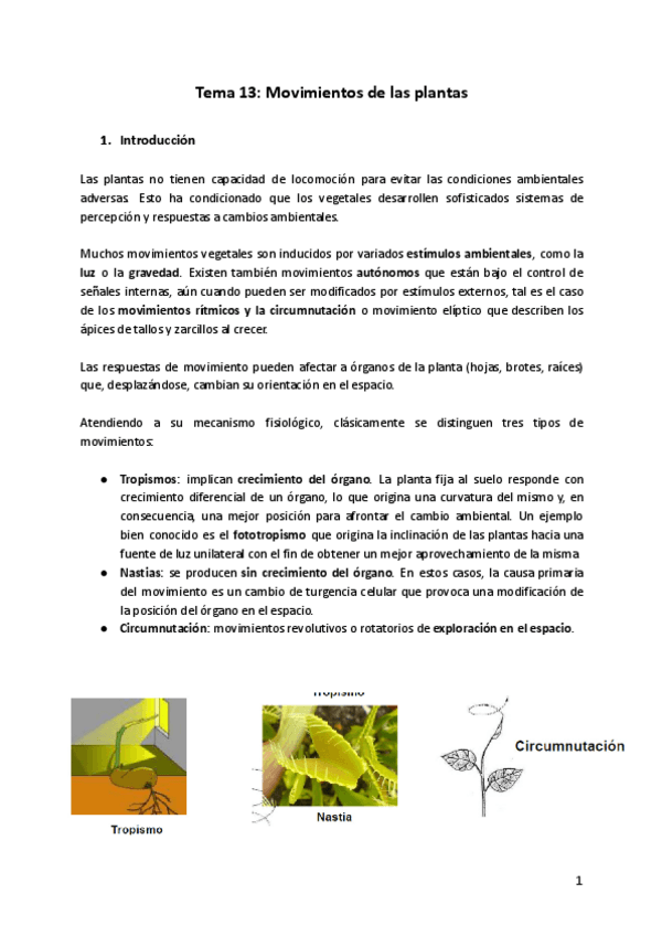Miniatura del documento Tema-13-FV.pdf