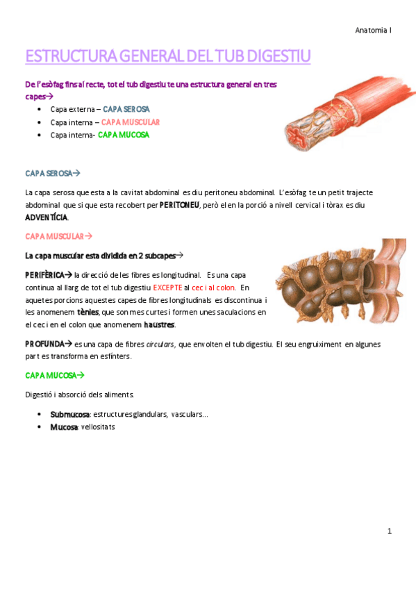 Miniatura del documento 4.pdf