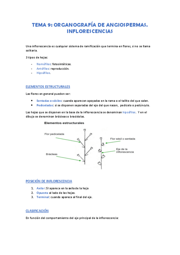 Miniatura del documento tema 9.pdf