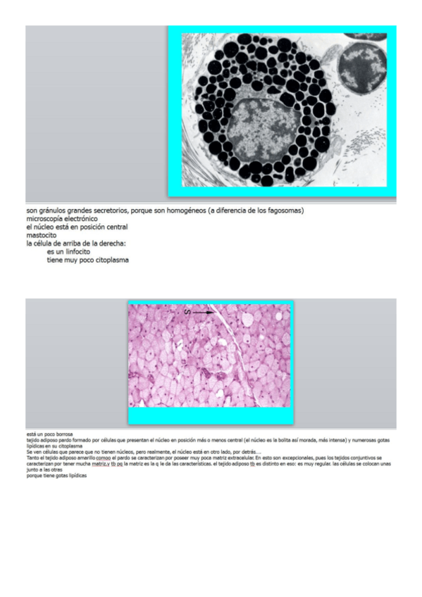 Miniatura del documento Segundo seminario.pdf