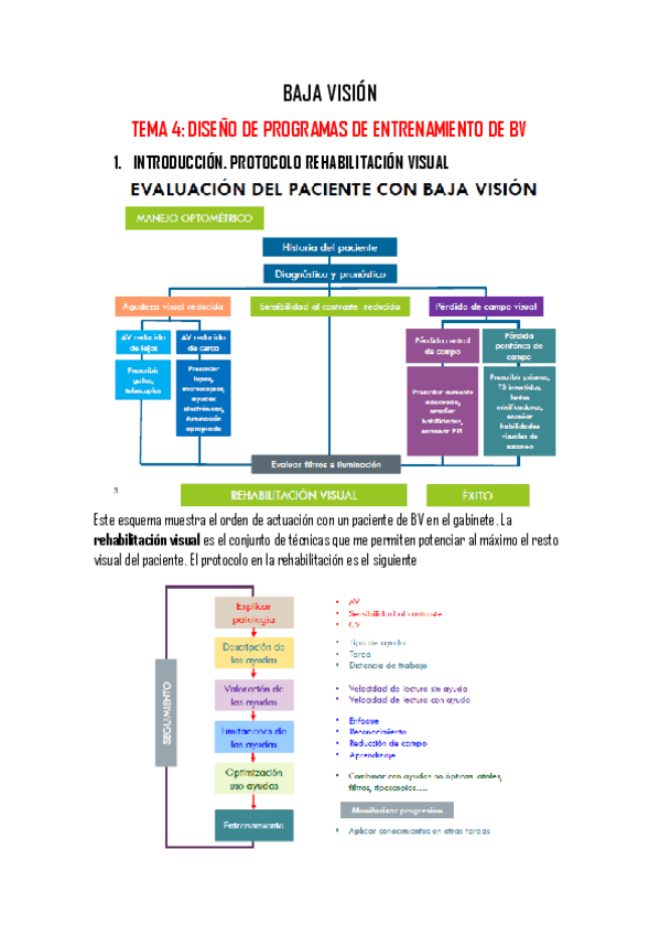 Miniatura del documento TEMA-4-DISENO-DE-PROGRAMAS-DE-ENTRENAMIENTO-EN-BV.pdf