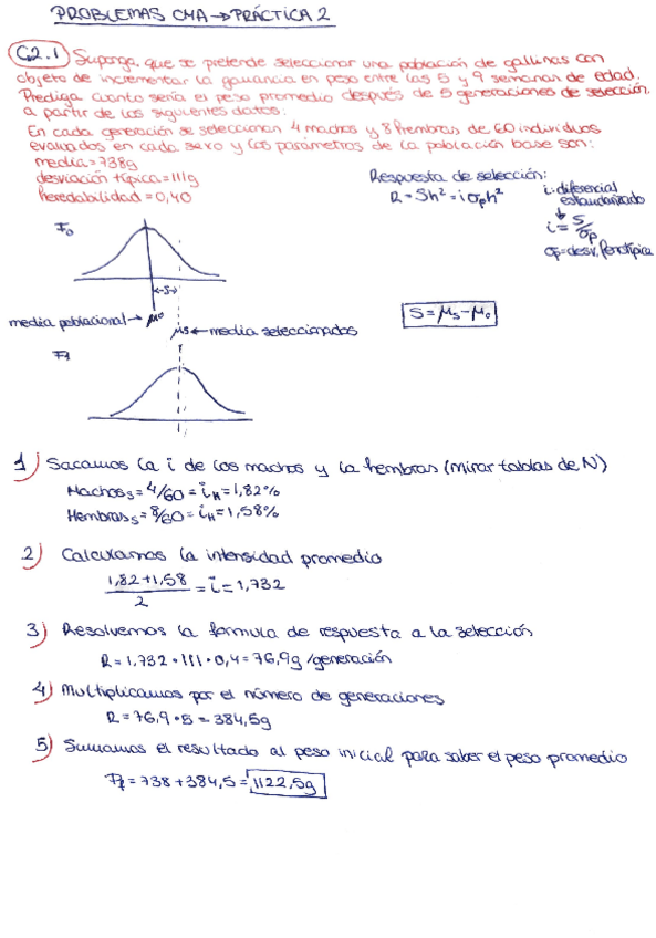 Miniatura del documento practica C2
