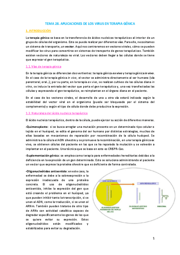 Miniatura del documento Tema-28.pdf