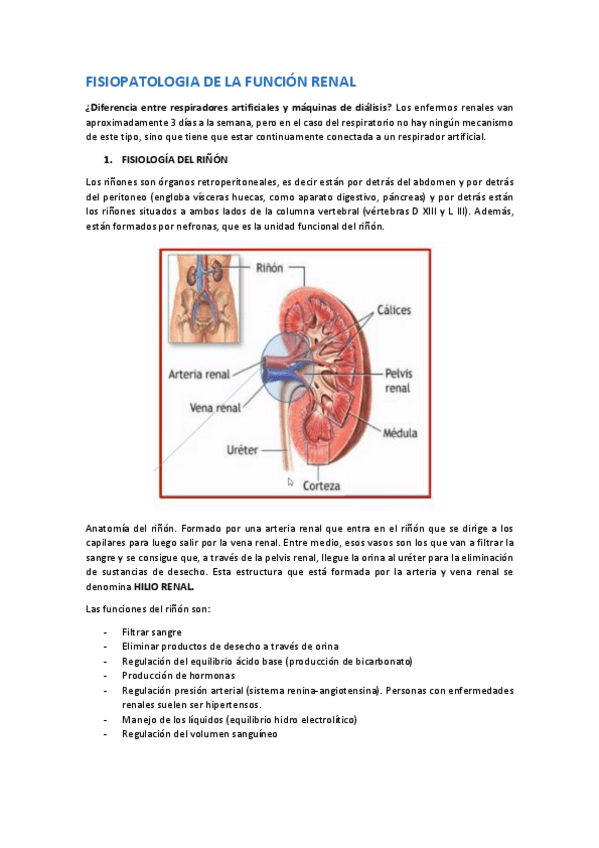 Miniatura del documento FISIOPATOLOGIA-DE-LA-FUNCION-RENAL.pdf
